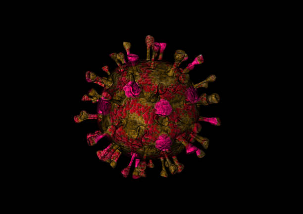 coronavirus covid 19 - cdc indications for hep b vaccine